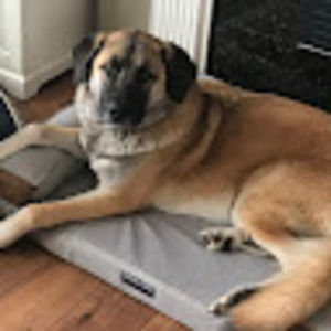 Meet your Posher, Danica